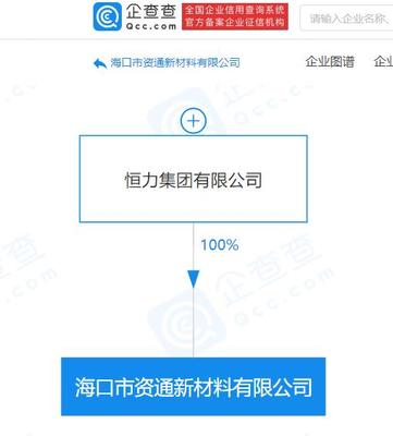 恒力集團(tuán)在?？诔闪⑿虏牧瞎荆卣贯樇徔椘芳霸箱N售業(yè)務(wù)