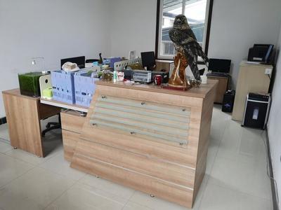 攜手共進，再譜新篇——熱烈祝賀九度與漢武機電簽署網站服務協議，深化針紡織品及原料銷售合作